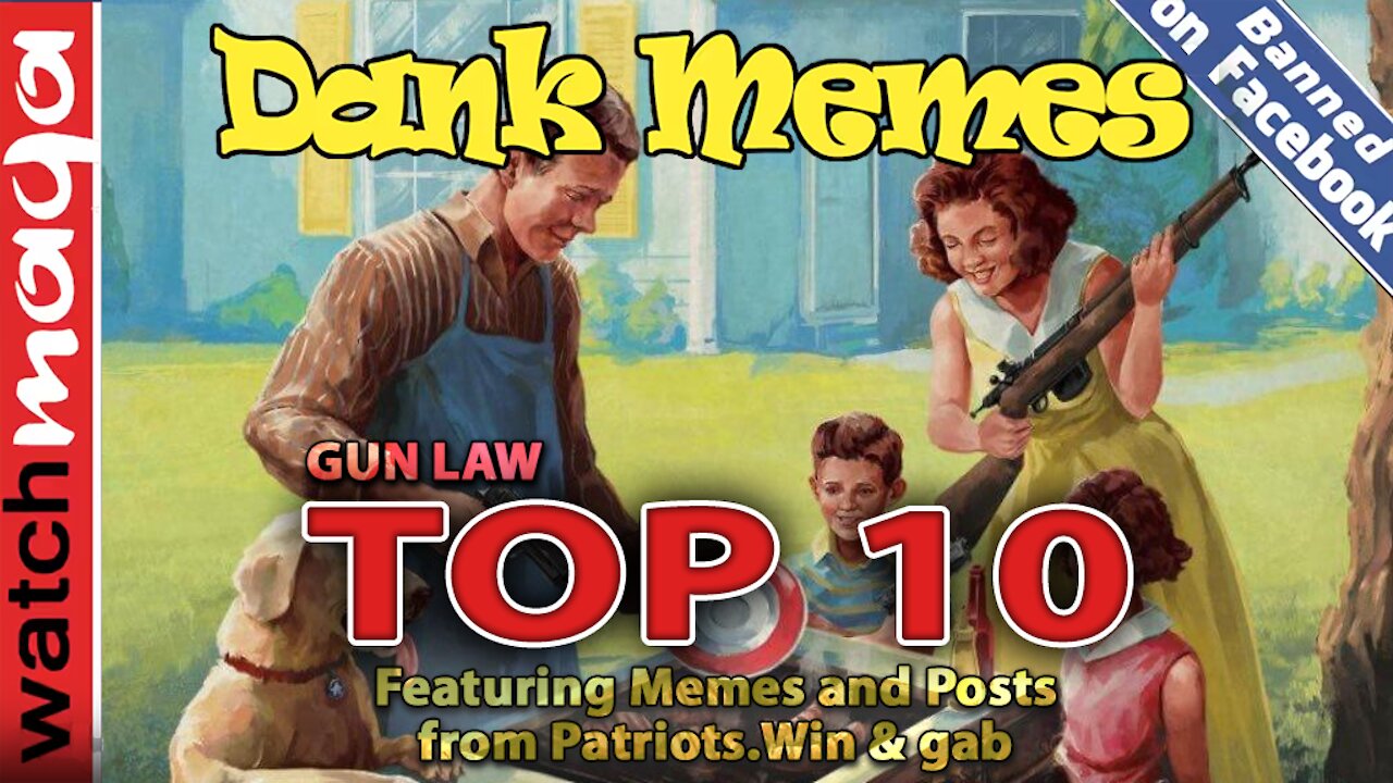 TOP 10 MEMES Gun Law