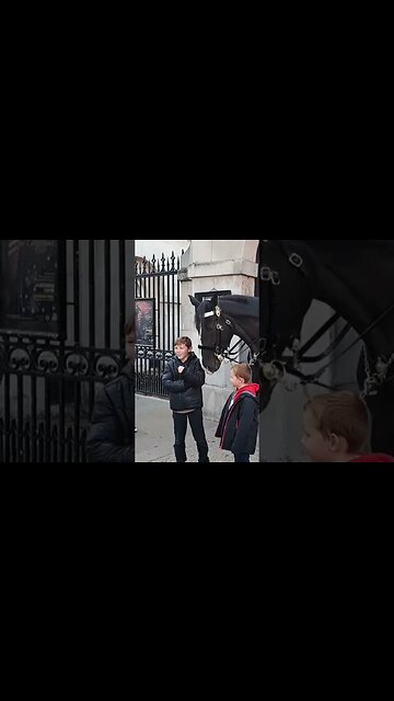 (GET OFF THE REINS) 3RD IS SEEN BY THE KING GUARD #thekingsguard