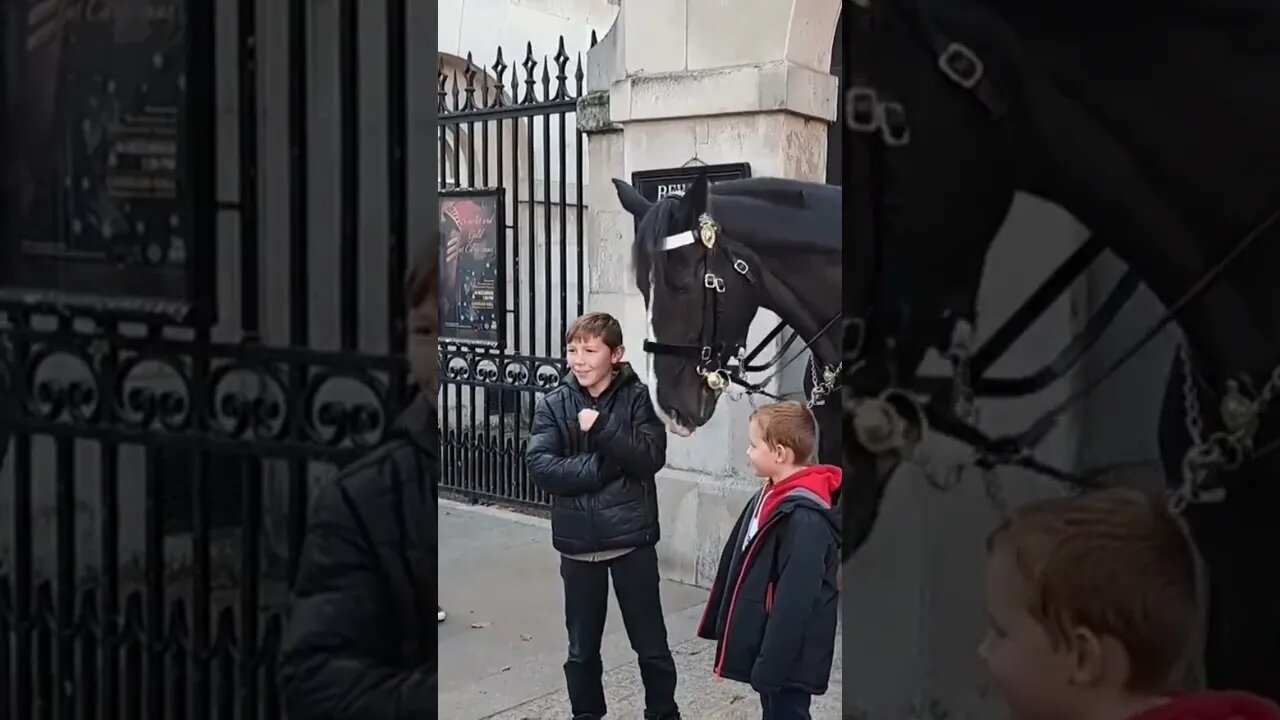 (GET OFF THE REINS) 3RD IS SEEN BY THE KING GUARD #thekingsguard