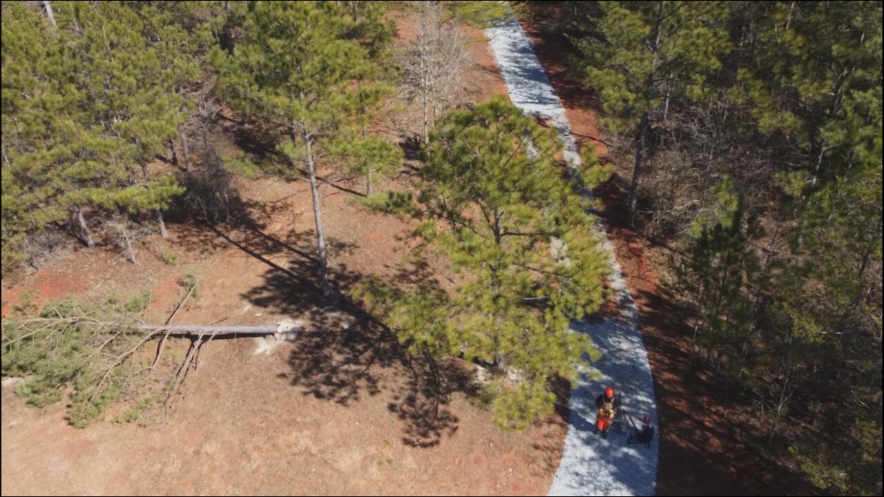 Cannon Farm - Expanding the Barn Yard, Felling some trees! With Drone Footage!