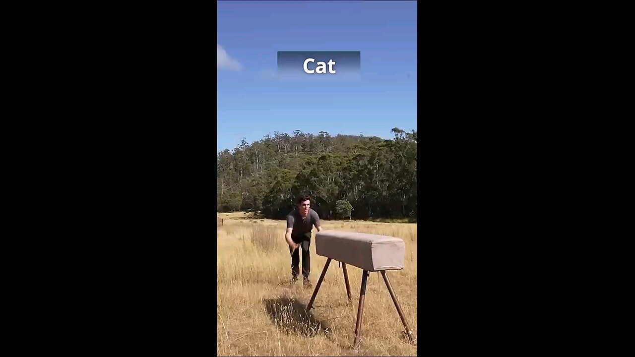 If animals did parkour