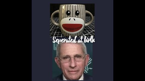 Fauci Sock Puppet