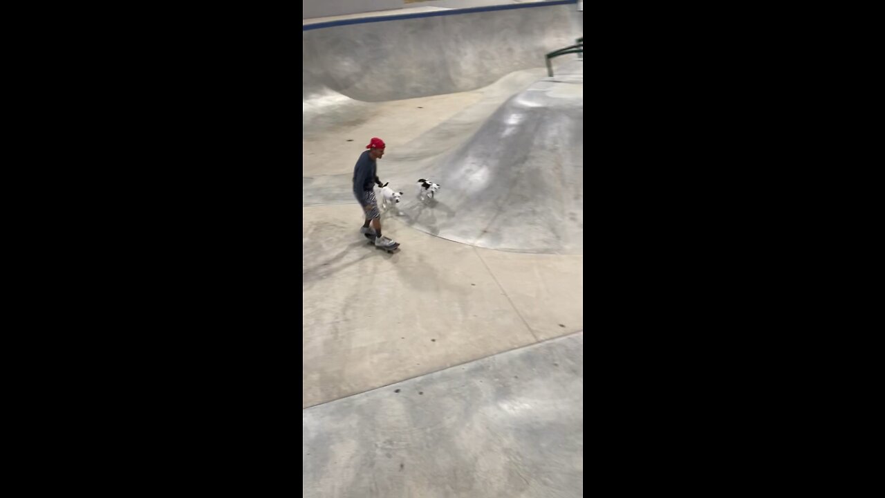 skating with puppies