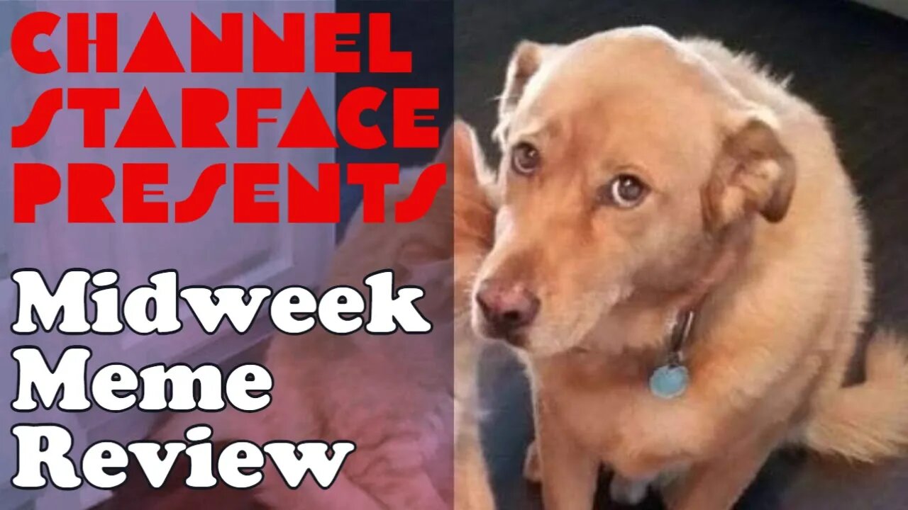 Midweek Meme Review 2/10/22