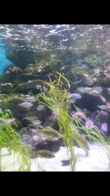 Las Vegas View at the window