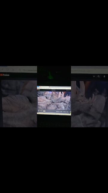 how corny people get back