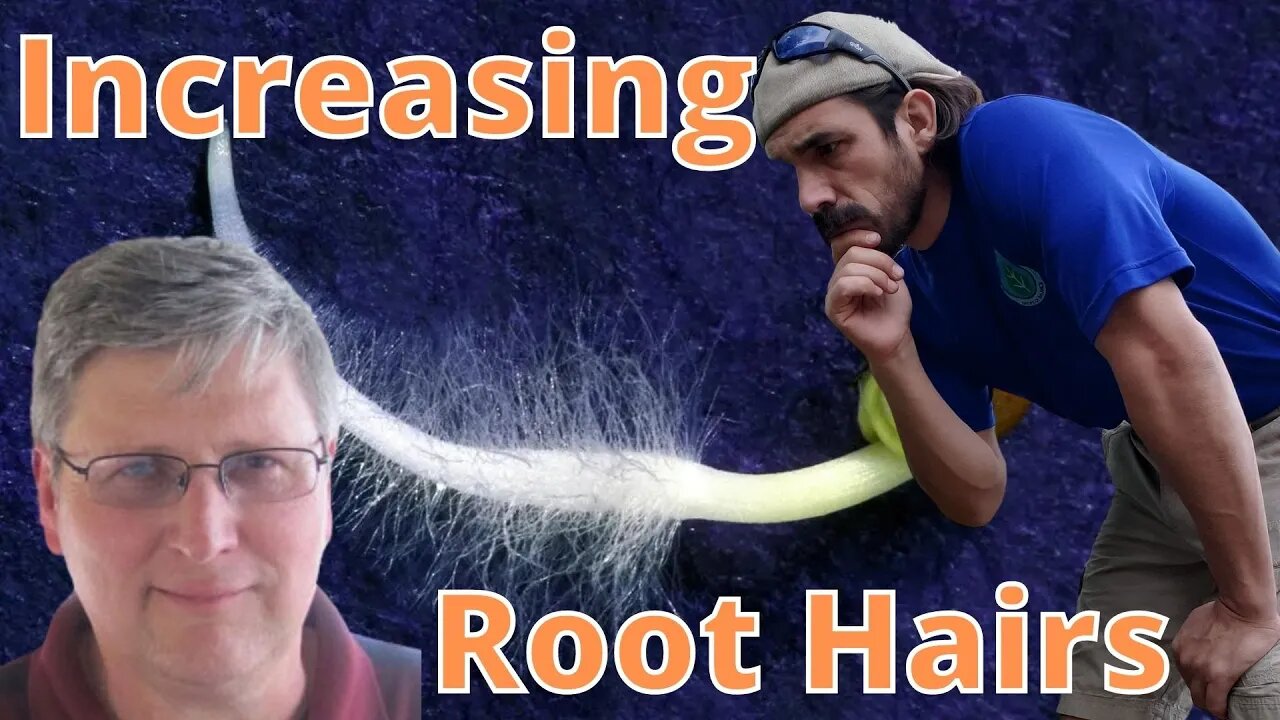 Will Bacteria Increase Root Hairs in your plants?