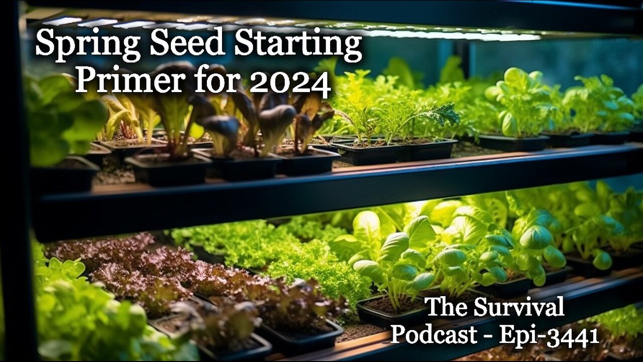 Spring Seed Starting Primer for 2024 - Epi-3441