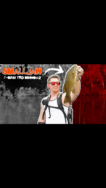 Beautiful Smallmouth Bass Snatches Z-Man TRD MinnowZ (Awesome Wisconsin Fishing!)