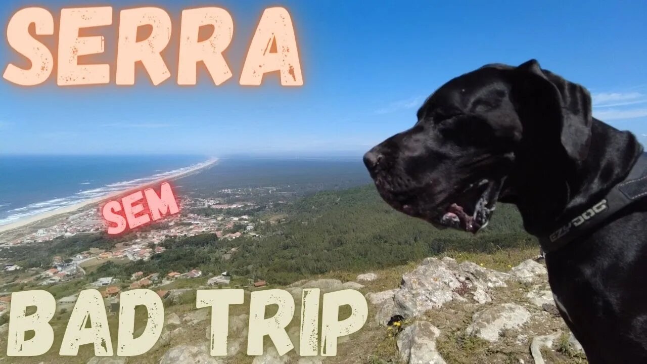 Serra sem Bad Trip - O Bicho É Doido!