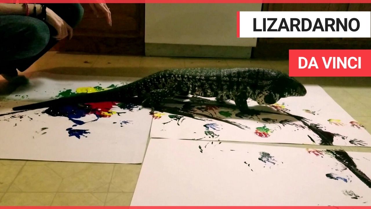 These artistic masterpieces have been created by a massive LIZARD