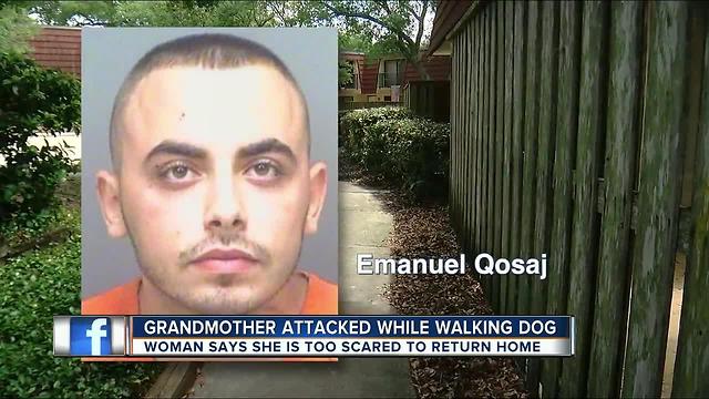 Grandmother beaten senseless while walking her dog wants bond against her attacker raised
