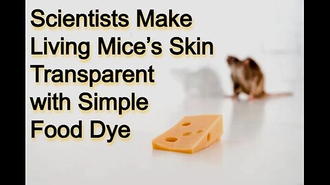 Scientists Make Living Mice’s Skin Transparent with Simple Food Dye