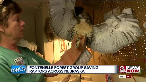 Fontenelle Forest Raptor Recovery group already helping hundreds of eagles, hawks and owls this year