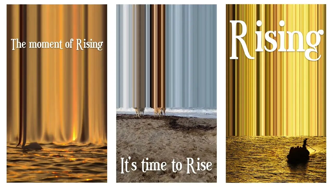 Rising NFT collections