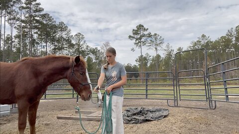 Week 3 With Jackson - Desensitization Work