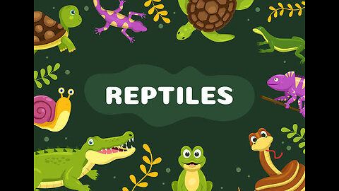 An introduction about reptiles🦎