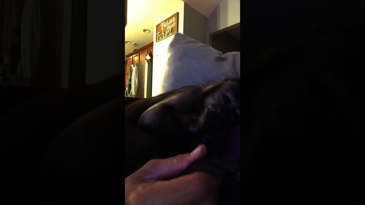 Watch tv 📺 making Mom rub my feet and playing with earrings
