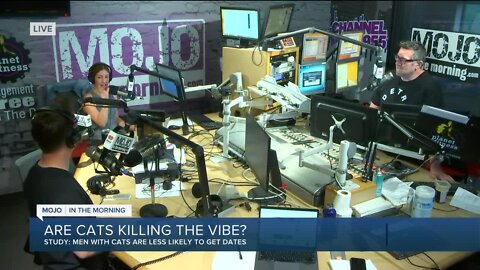 Mojo in the Morning: Are cats killing the vibe?