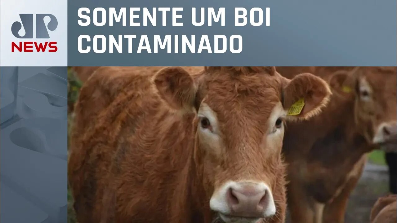 Alckmin diz que caso de “vaca louca” no Pará é atípico