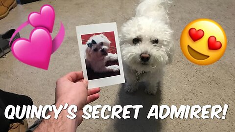 QUINCY'S SECRET ADMIRER!