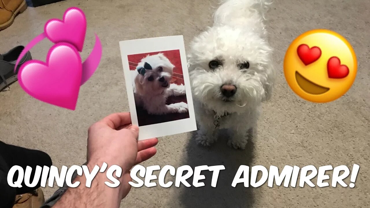 QUINCY'S SECRET ADMIRER!