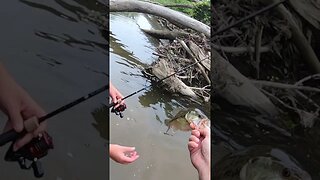 Creek fishing in Cincinnati