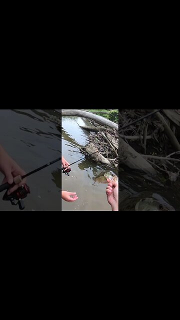 Creek fishing in Cincinnati