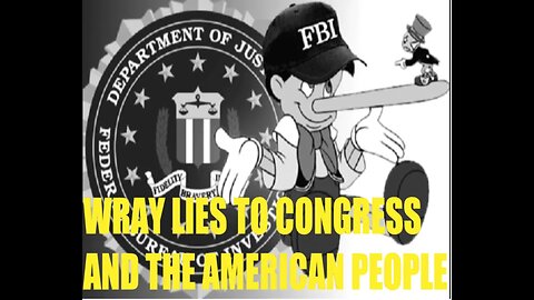 FBI LIED TO CONGRESS AND THE AMERICAN PEOPLE ABOUT JANUARY 6TH, THEY HAD OVER 100 PEOPLE IN CROWD