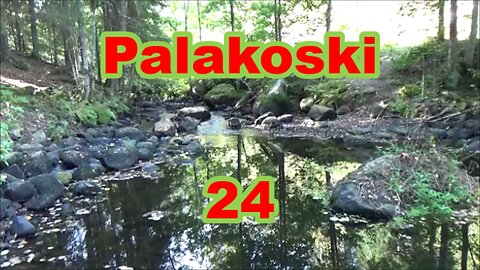 Palakoski 24