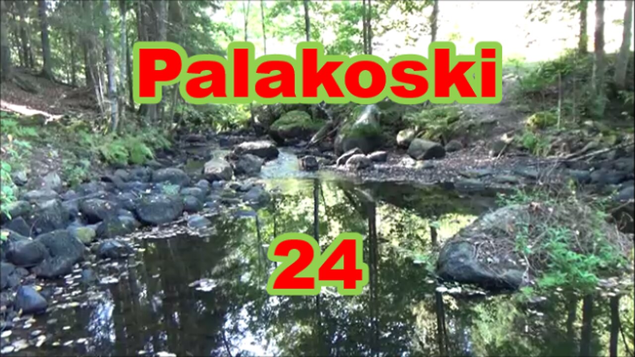 Palakoski 24