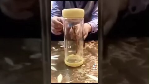 Dragon in a Bottle ❓