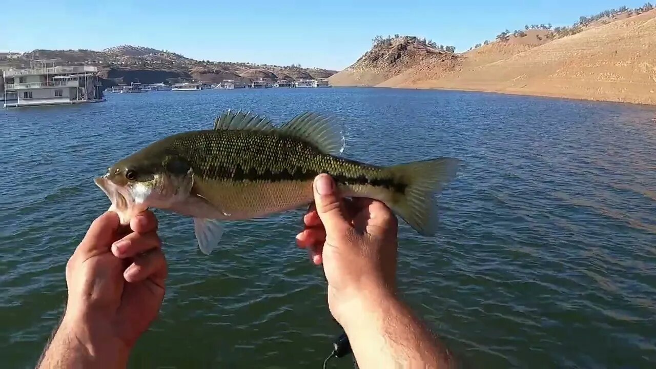 Jig Fishing Lake McClure Day Fall Transition