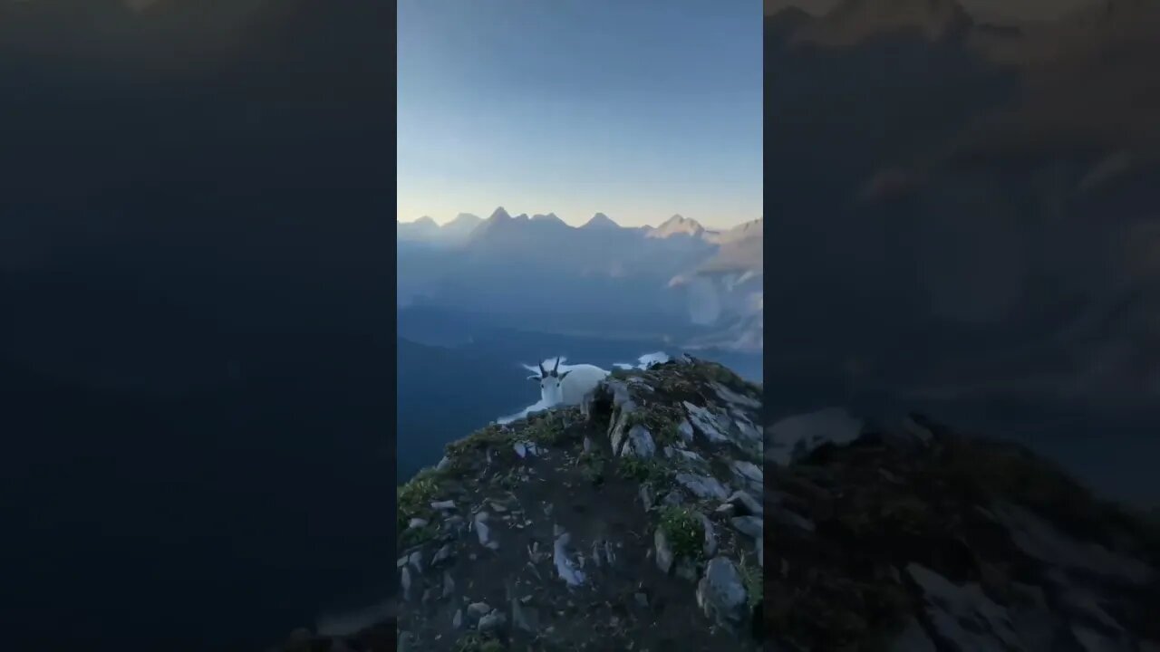 What is this? #youtubeshorts