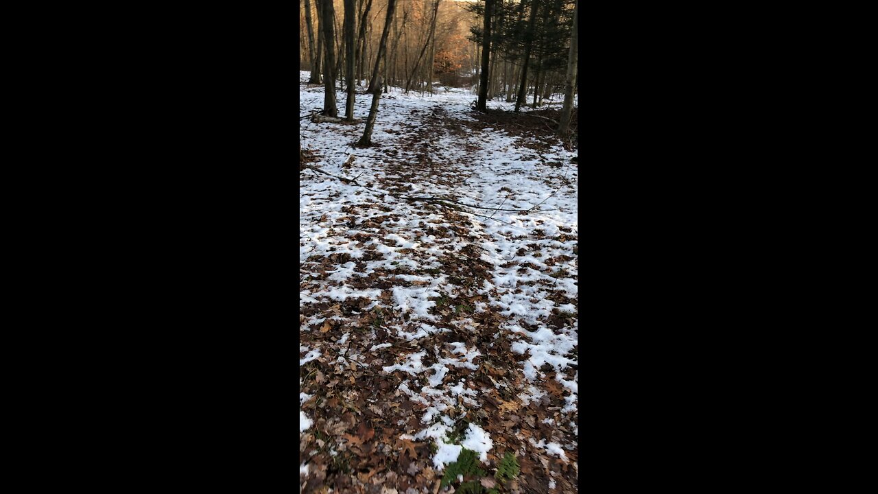 12/16/2023 -🚶‍♀️Beautiful Morning Walk 🚶‍♀️ & Scenery ! Enjoy 😉