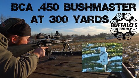 BCA .450 Bushmaster @ 300 yards