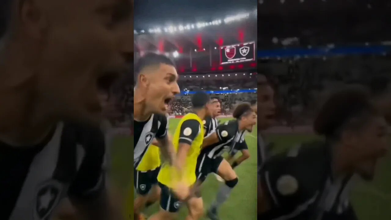 🔥😍O BOTAFOGO DESEJA A SUA TORCIDA UM FELIZ DIA DO AMIGO! #botafogo #segueolíder #brasileirão