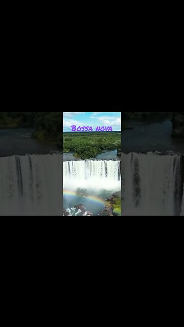 Relaxing Bossa Nova - Subscribe For More #shorts #nocopyrightmusic #bossanova