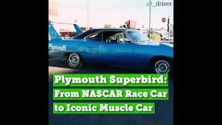 Plymouth Superbird: From NASCAR Race Car to Iconic Muscle Car