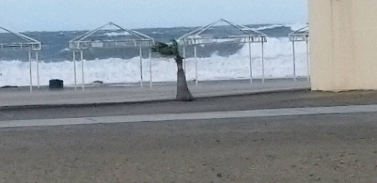 Stormy waves