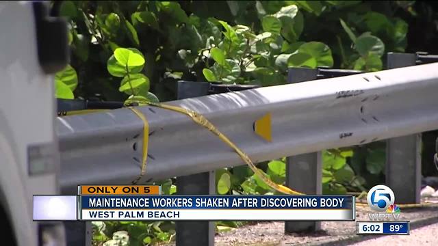 Dead man found in bushes along I-95