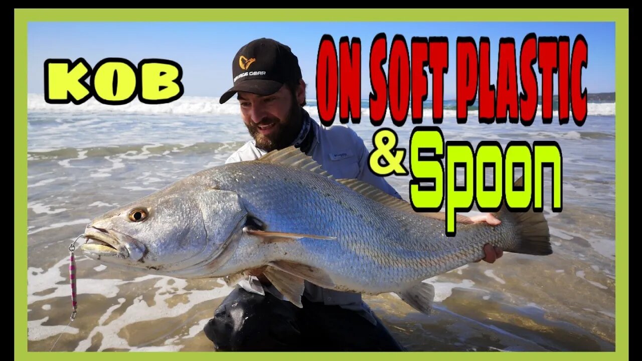 KOB / Mulloway on PADDLETAIL! KOB on LURE is FUN!