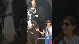 KINGS GUARD SHOUTS 3 TIMES AT TOURIST TOUCH THE REINS #horseguardsparade