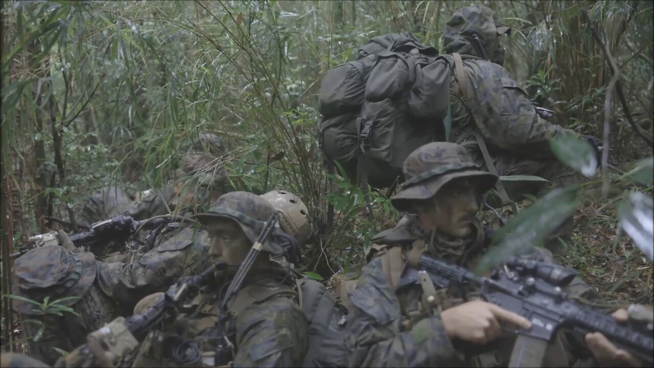 Force Recon Conducts Jungle Inserts