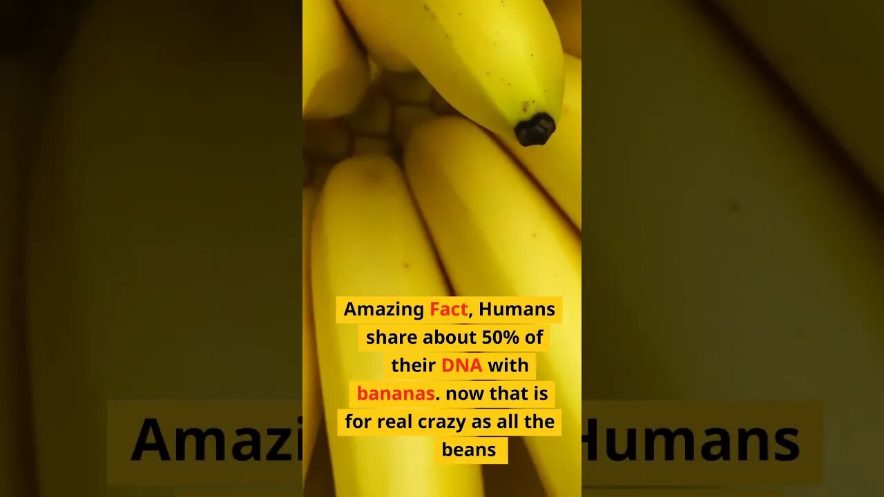 Banana Family fact