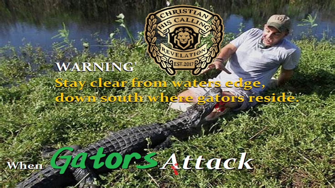 HCNN - When GATORS Attack. WARNING Graphic.