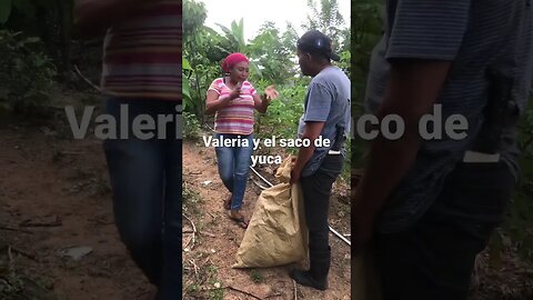 Mujer lleva saco de yuca 2 kilómetros #funny #humor