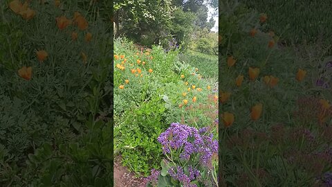 Remember 717? Season of His Coming has Begun! Jet Ski Incident - Supernatural Protection