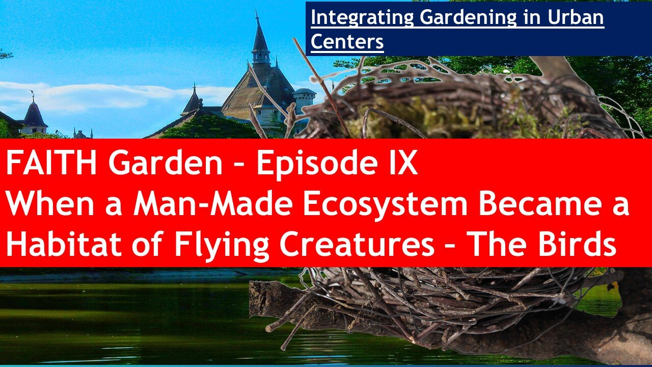 FAITH Garden - Episode IX When Man-Made Ecosystem Became the Habitat of Flying Creatures - Birds