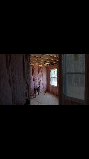 Just Waiting for Drywall #renovation #houserenovation